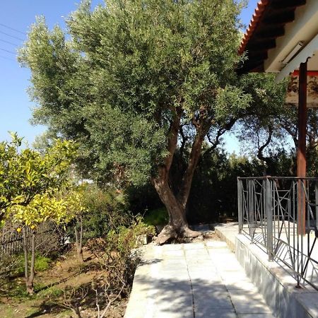 Gerakina Beach Cottage Psakoudia Zewnętrze zdjęcie